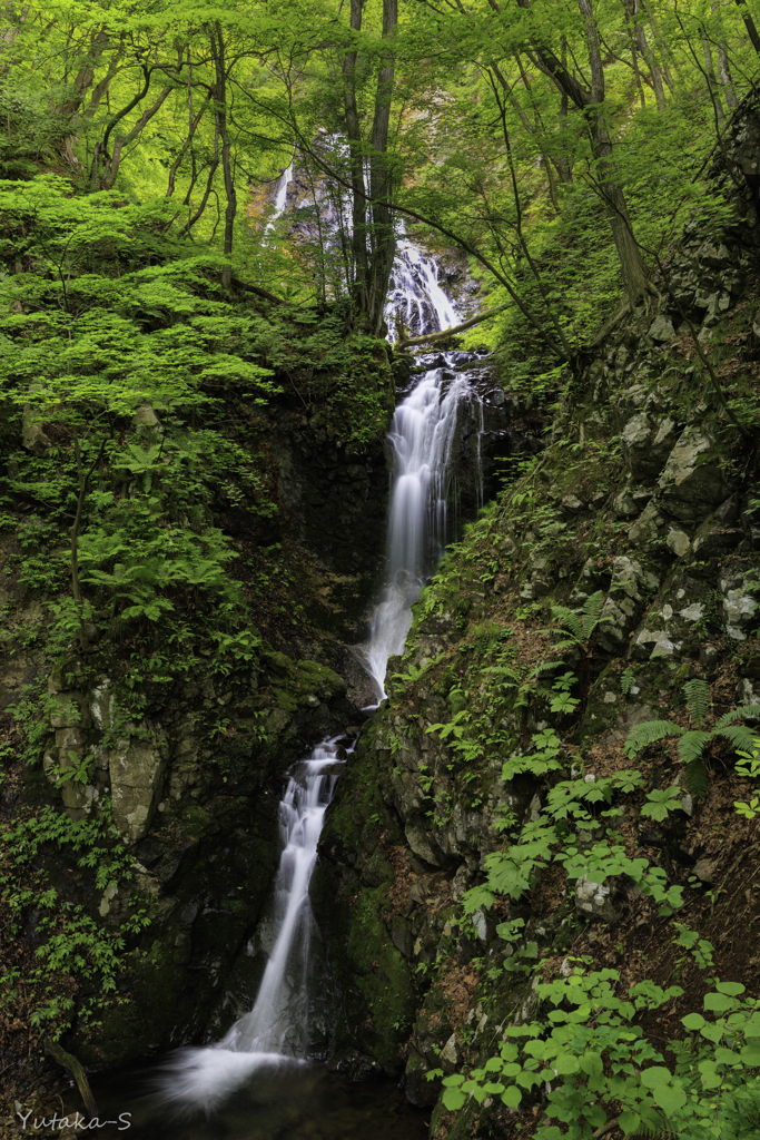 小根津戸の雄滝