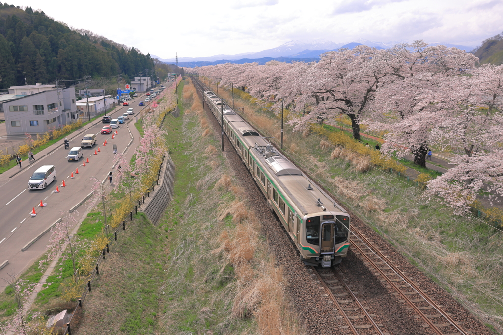 お花見列車Ⅱ