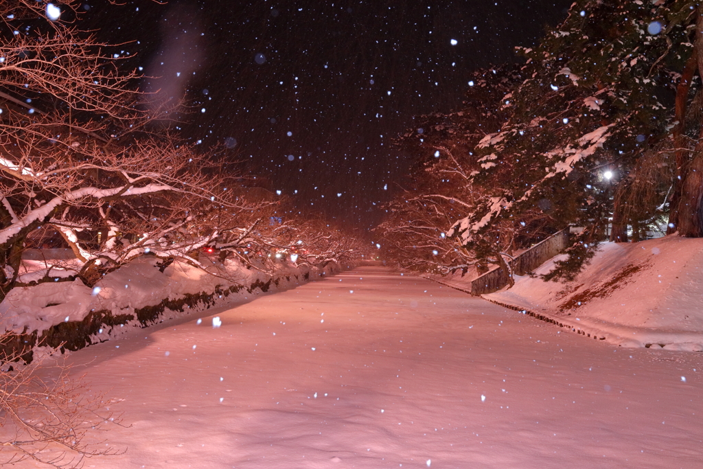 雪中ライトアップ