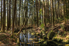 牛渡川
