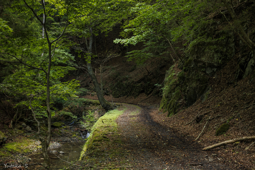 滝への路