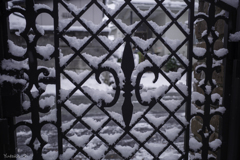 初積雪の朝