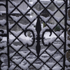 初積雪の朝
