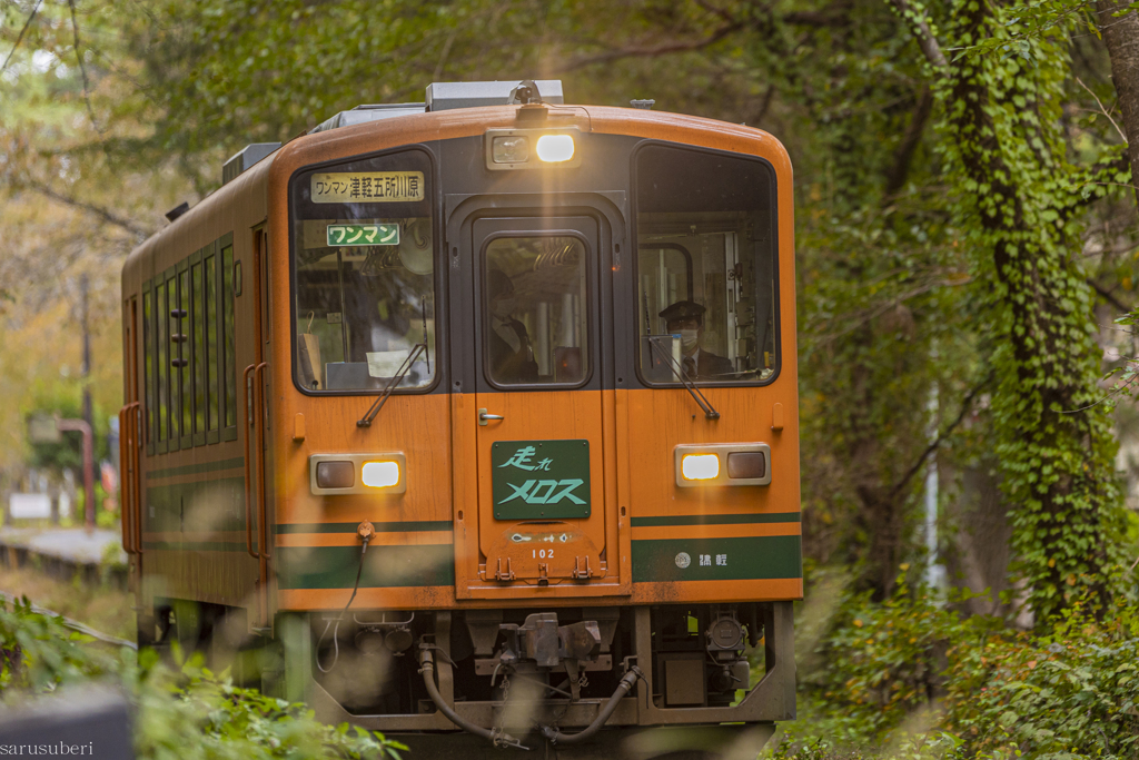 津軽鉄道の秋Ⅲ