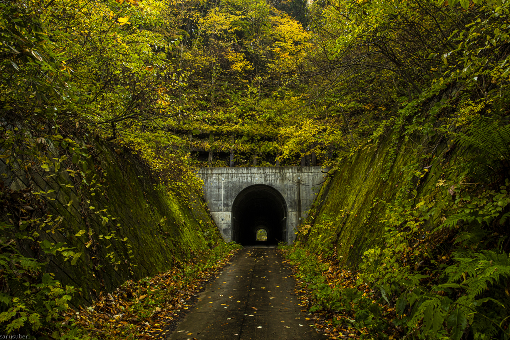 紅葉の隧道