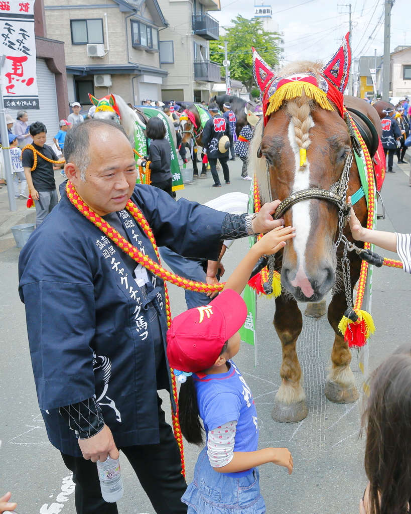 初めてのお馬