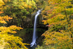 曽利滝・秋の画