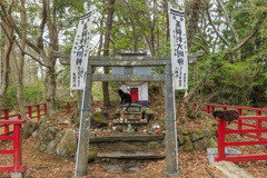 猫の島・田代島にてⅤ