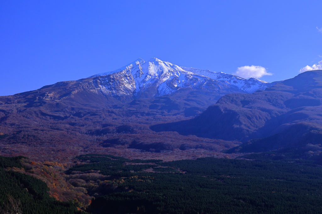 麗峰
