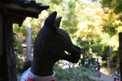 きつねだお