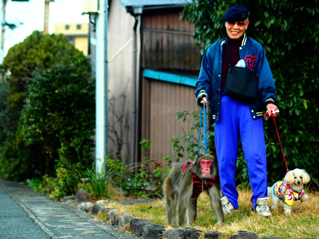 平成の桃太郎