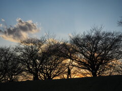 IMG_8772
