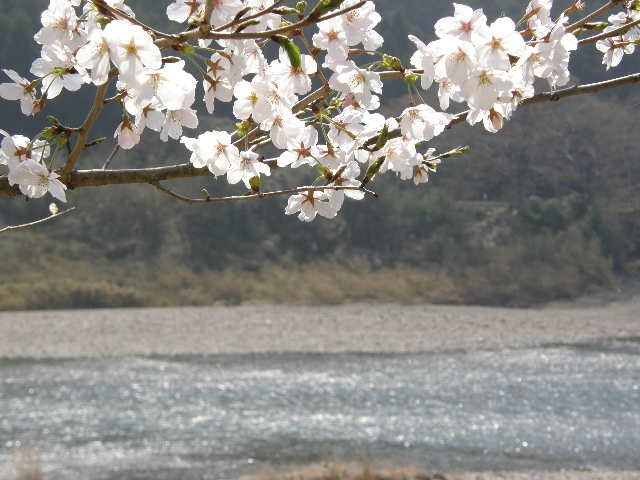 宮川にて