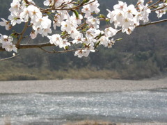 宮川にて
