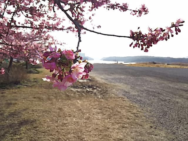 春一番 