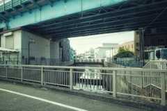 くぐる