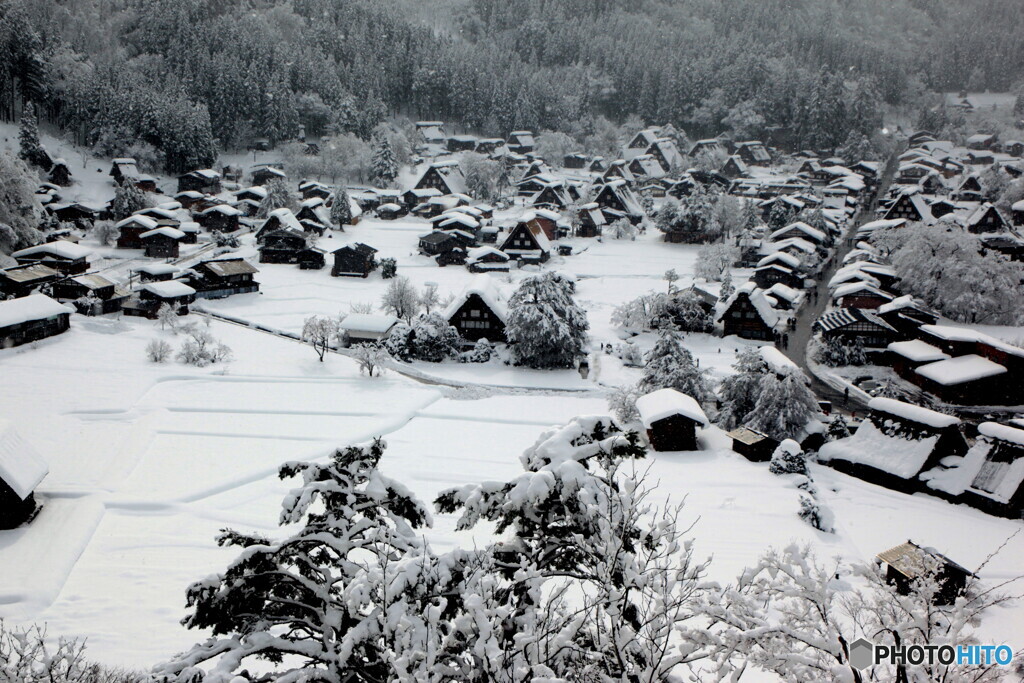 降りしきる雪　展望台より