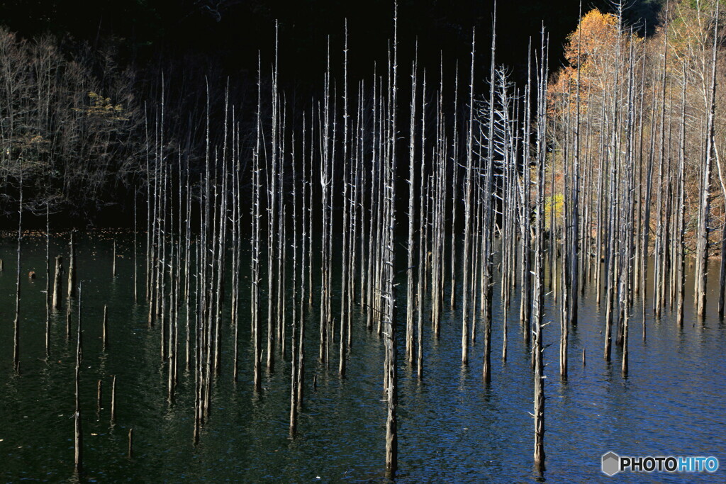 晩秋の自然湖