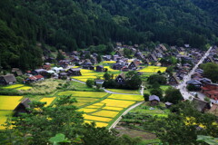 白川郷　実りの秋