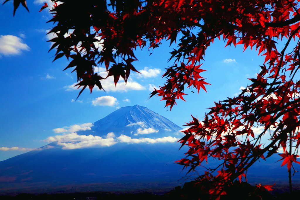 富士山紅葉そえて