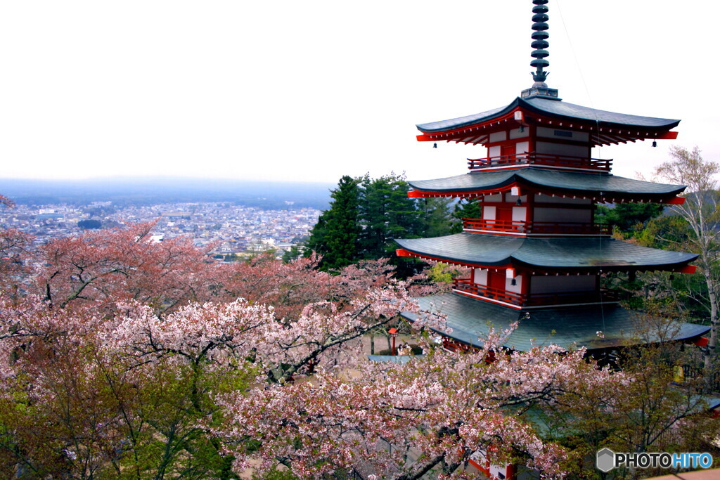 桜終演