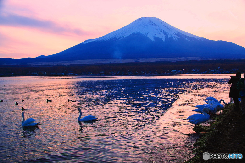 夕暮れの富士