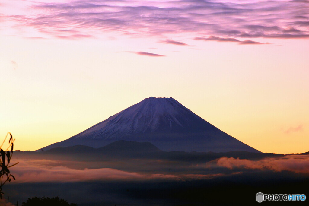 朝富士