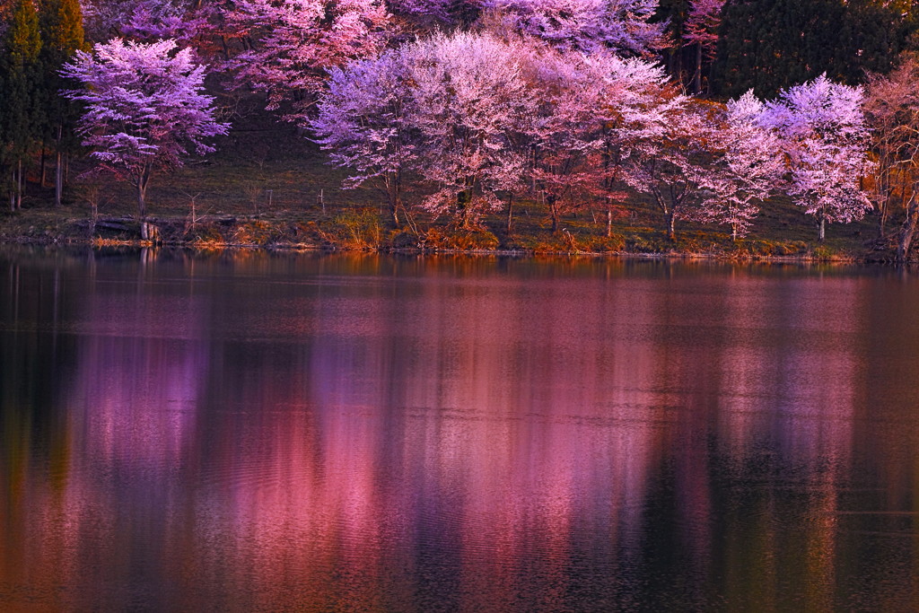 朝日の写りこみ