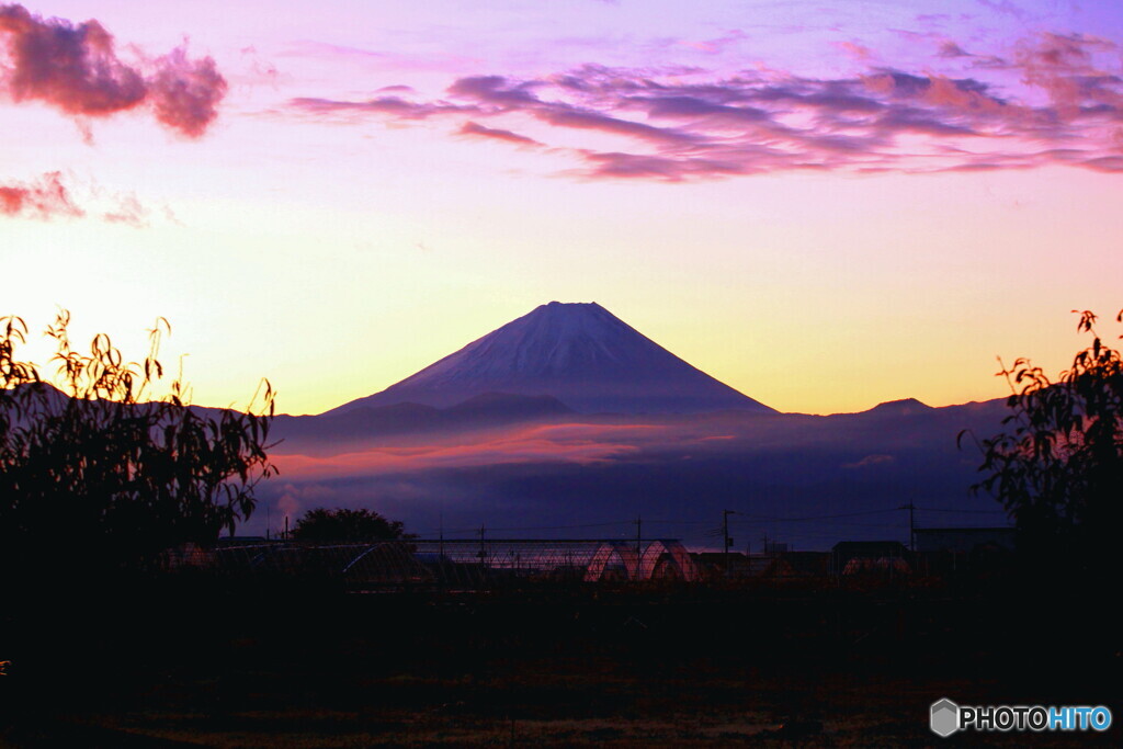 仰ぎ見る
