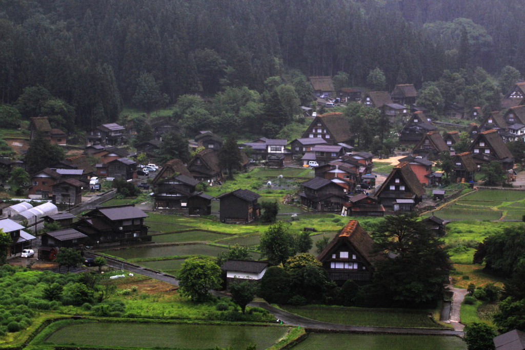 雨の朝　白川郷にて01