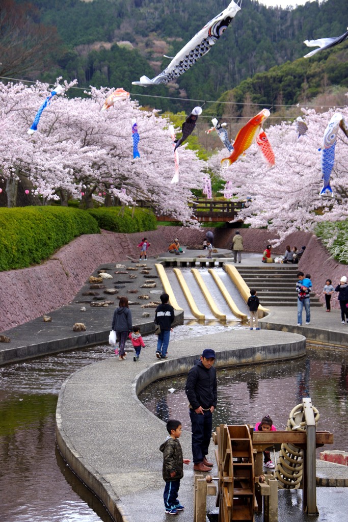 桜の下で