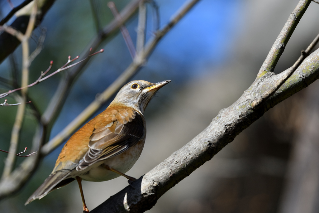 DSC_5059_00005