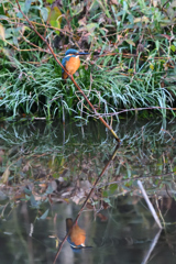 DSC_2692_00003