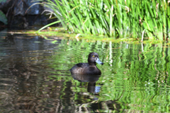DSC_1889