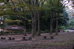 DSC_0492