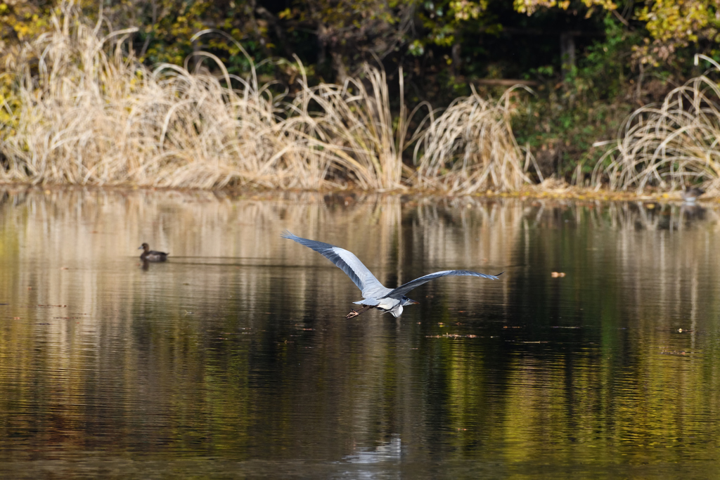 DSC_2777_00007