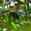DSC_6779_00001