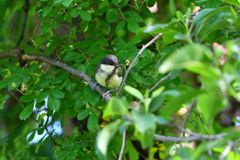 DSC_6327_00001