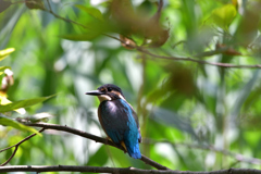 DSC_6753_00001