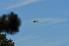 DSC_7492