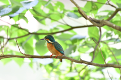 DSC_6592_00001