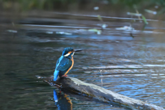 DSC_2675_00001
