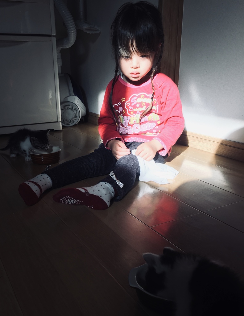 人形とねこ