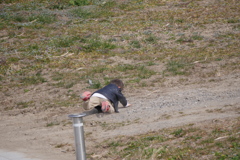 遠くで転ぶ