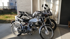 FZS1000 &SOLO