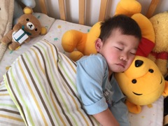 熊に食われる