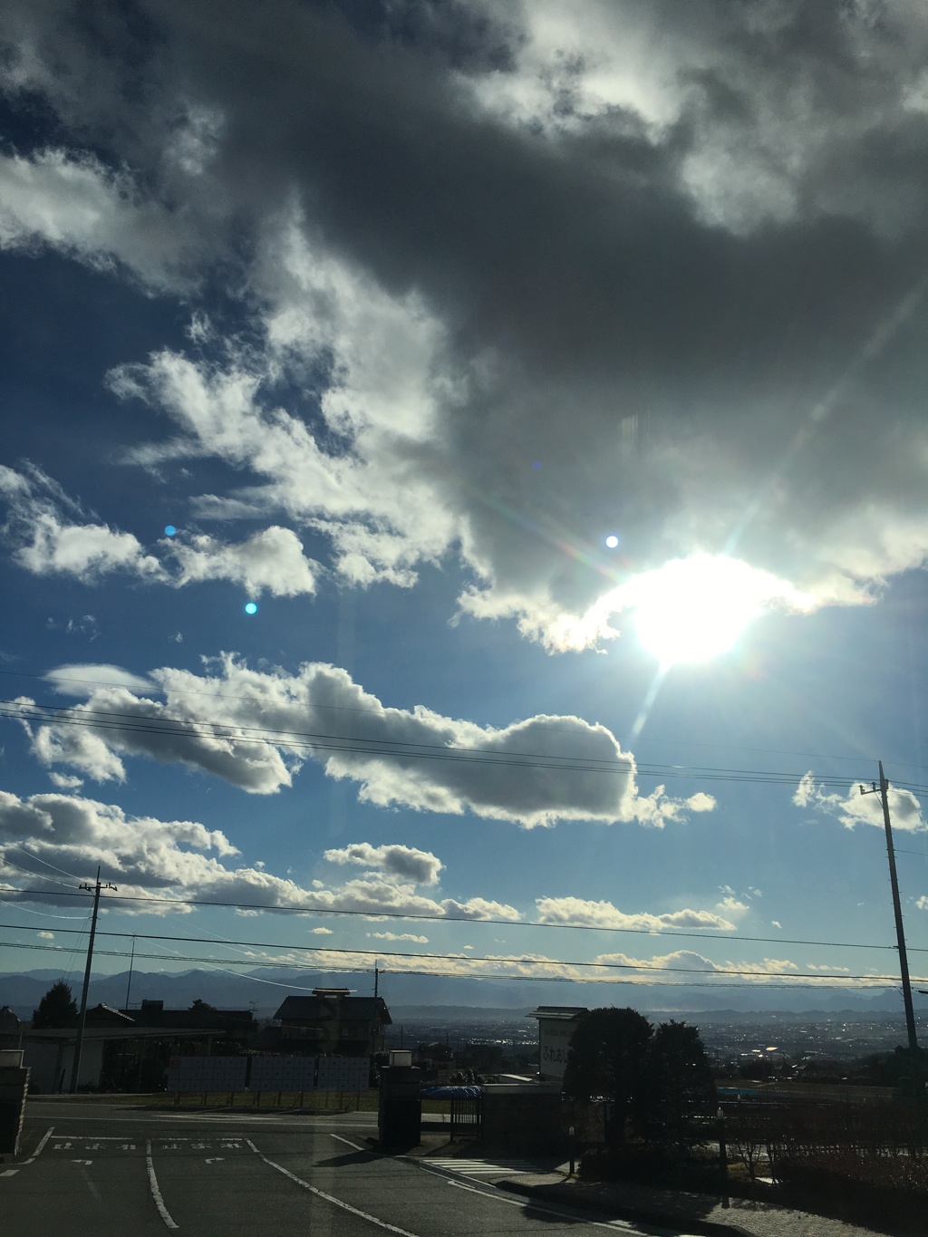 今日は風が強かった