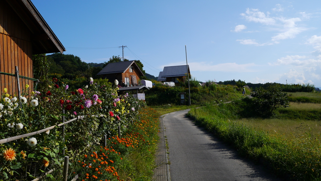 まだ夏