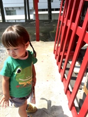 夏が来る。花が咲く。誰かが呼んでる。