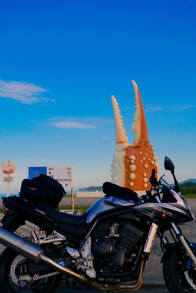 バイクにカニ生えた